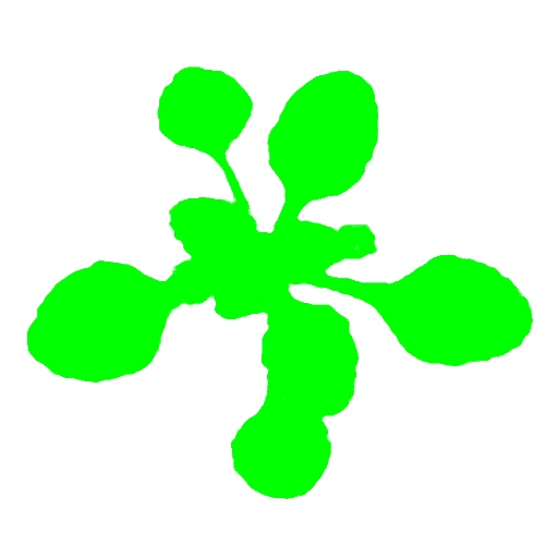 Easy Leaf Area logo