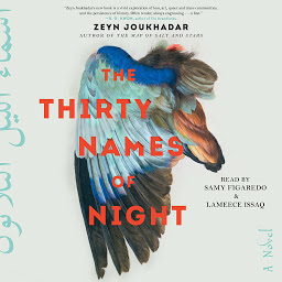 Icon image The Thirty Names of Night: A Novel