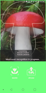 Mushrooms app MOD APK 106 (Patch Unlocked) 3