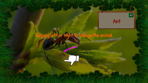 SmartKids - Animals for Kids Screen 2