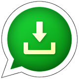 Status Video Downloader icon