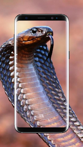 Cobra Snake Wallpaper