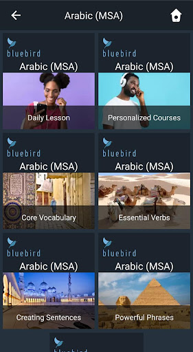 Android application Learn MSA Arabic. Speak MSA Ar screenshort