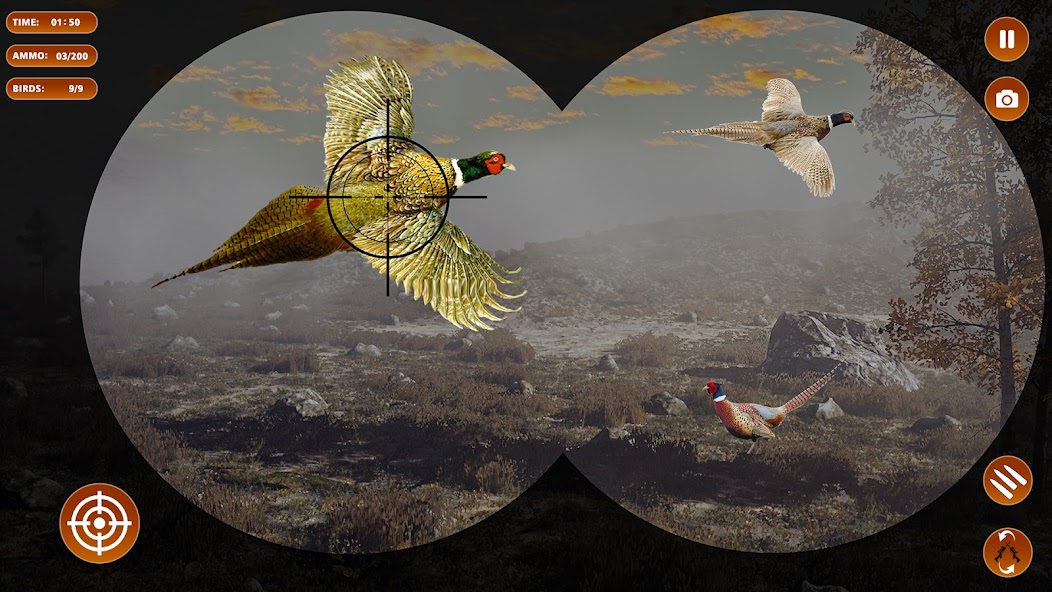 Pheasant Shooter Birds Hunting banner