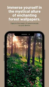 Enchanting Forest Wallpaper