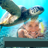 Sea Turtle Photo Frames icon