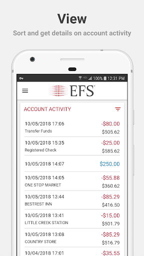 EFS PayControl Screen 2