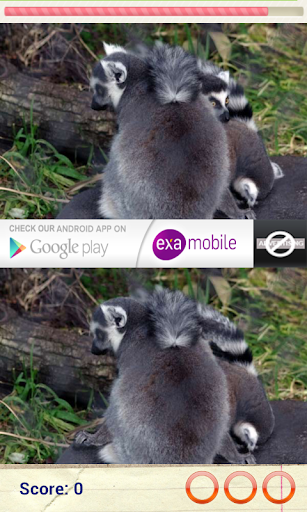 Spot the Difference Screen 3