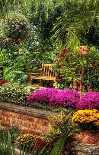 Garden Landscape Design