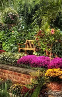 Garden Landscape Design screenshot 3