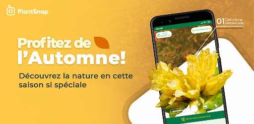 Plantsnap Identifier Les Plantes Et Les Fleurs Applications Sur Google Play