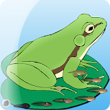 My Pet Frog icon