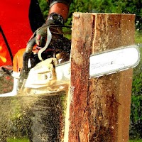 Chainsaw Sounds -  Best Chainsaw Ringtones