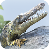 Alligator Simulator: Free Game icon