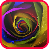 Real Flowers Video Wallpaper icon