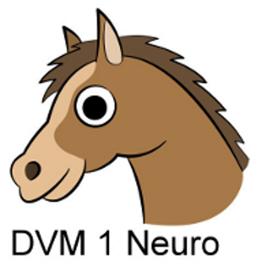 DVM 1st Yr Quiz - Neurology logo