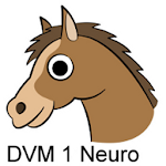 Cover Image of Скачать DVM 1st Yr Quiz - Neurology 3.03 APK