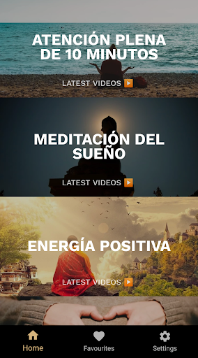 Vista previa de la aplicación