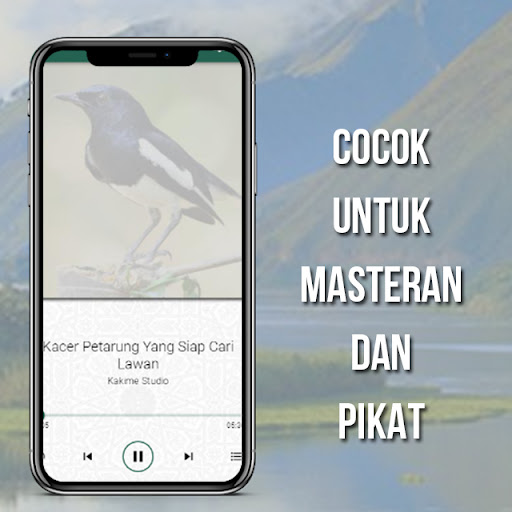 Kicau Burung Kacer Lengkap Screen 2