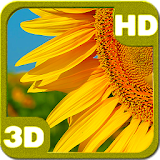 Incredible Flowering Sunflower icon