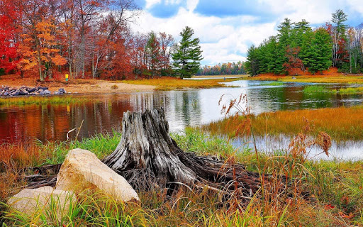 Autumn Live Wallpaper  backgrounds hd