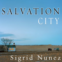 Icon image Salvation City: A Novel
