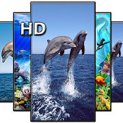 Top 28 Entertainment Apps Like Dolphin Wallpapers HD - Best Alternatives