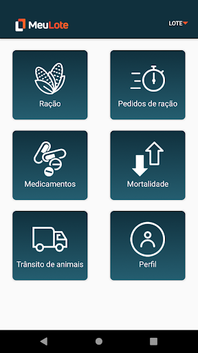 Meu Lote Screen 3