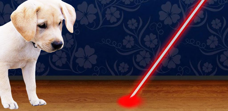 Laser Pointer for Dogs