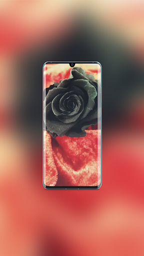 Android application Rose Wallpaper screenshort
