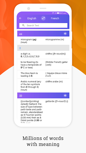 Meaning in French Screen 2