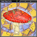 Magic Shape Puzzle 2 icon