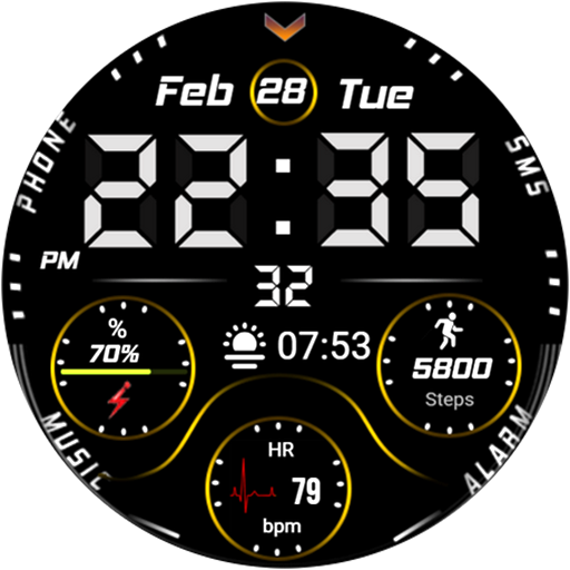 FSW220 WATCHFACE logo