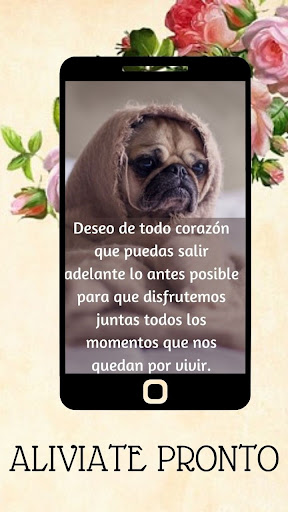Frases finas para toda ocasión Screen 2