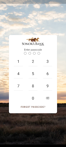 Sonora Bank 1