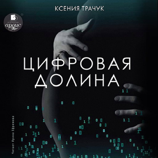 Цифровая долина logo