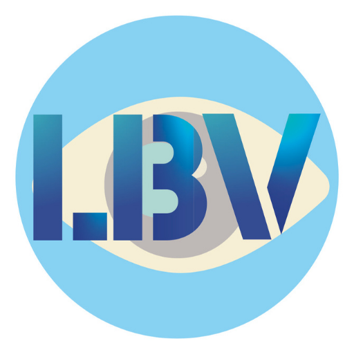 Learn Beyond Vision logo
