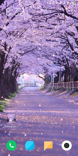Android application Cherry Blossom Live Wallpaper screenshort