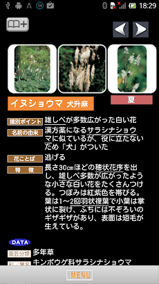 季節の野草・山草図鑑のおすすめ画像4