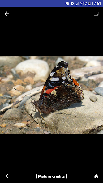 Nature My - North America Video Stills 4