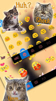 screenshot of Black Cute Cat Theme