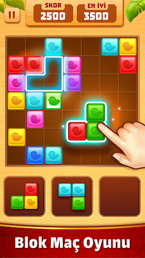 Fayans Maçı: Blok Bulmaca Oyun ekran görüntüsü