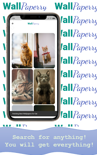 WallPaperry - 4K Wallpapers+ Screen 3