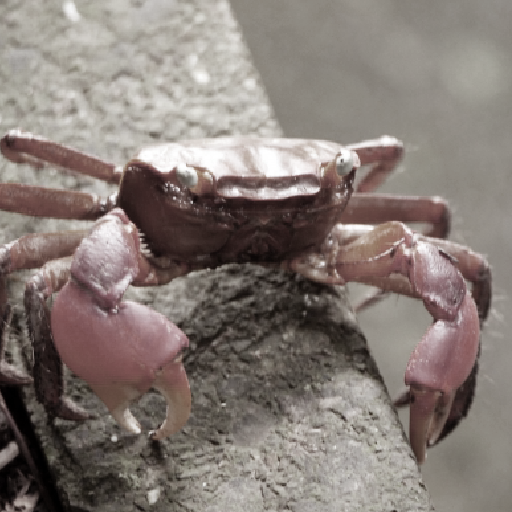Crabhouse logo