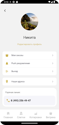 Аналемма Screen 3
