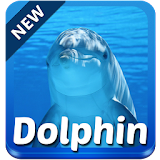 Dolphin Keyboard icon
