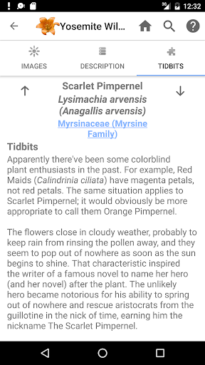 Screenshot of Yosemite Wildflowers
