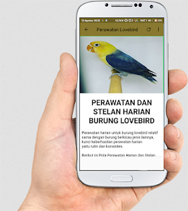 Download TERAPI LOVEBIRD MASTER v32.9 (Unlimited Cash) Free For Android 8