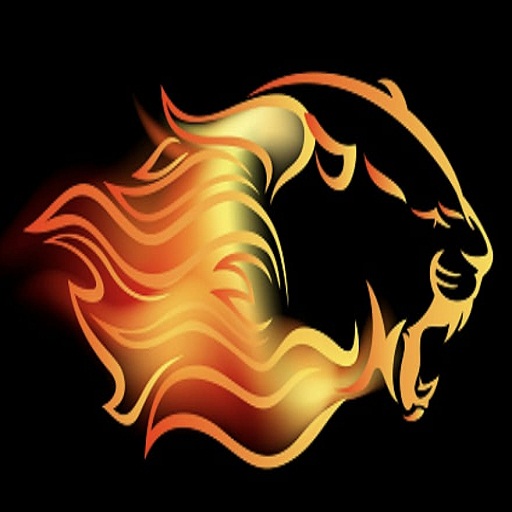 NSE GPS TRACKER logo