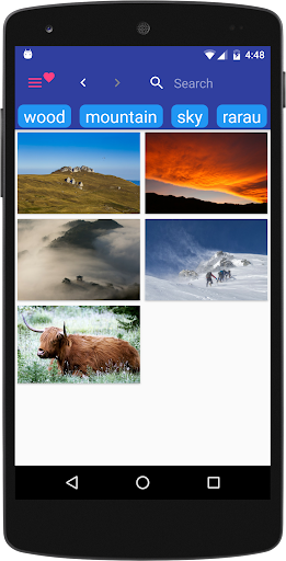 Image Search Screen 3